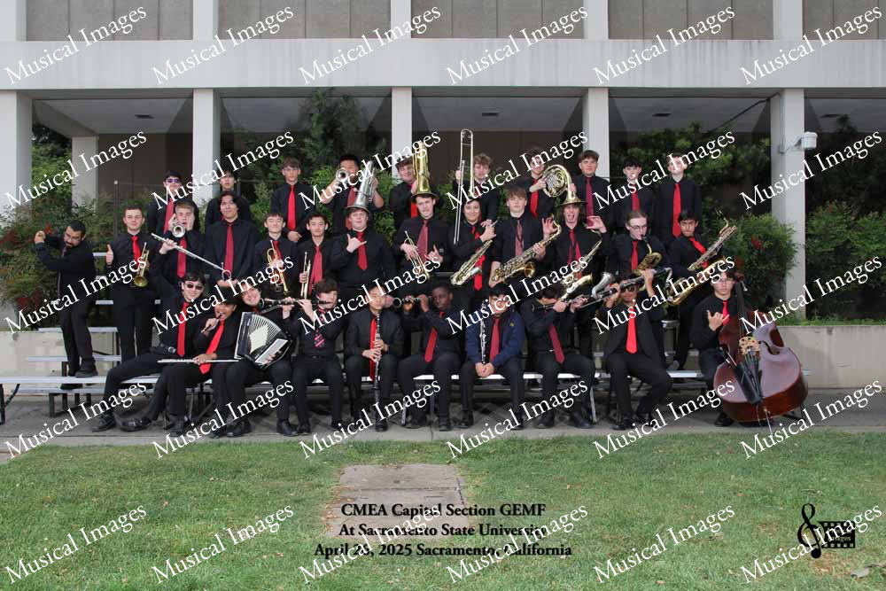 Musical Images